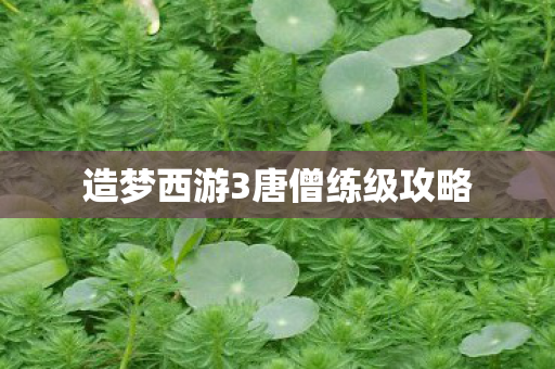 造梦西游3唐僧练级攻略 造梦西游3唐僧练级攻略