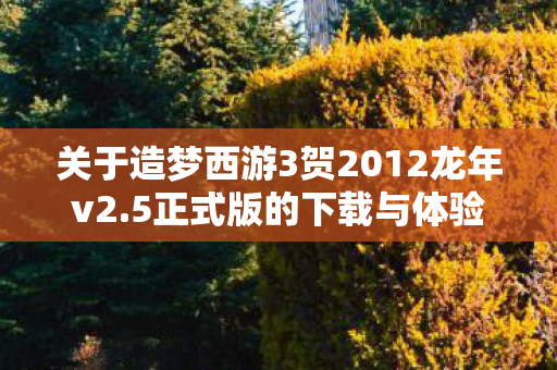 关于造梦西游3贺2012龙年v2.5正式版的下载与体验 关于造梦西游3贺2012龙年v2.5正式版的下载与体验