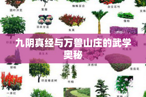 九阴真经与万兽山庄的武学奥秘图片
