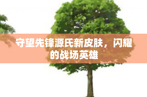 守望先锋源氏新皮肤图片