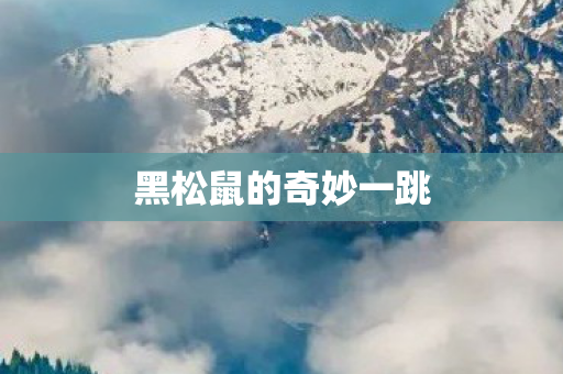 黑松鼠的奇妙一跳图片