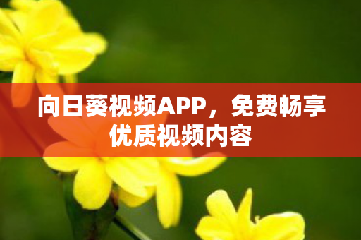免费畅享优质视频内容图片