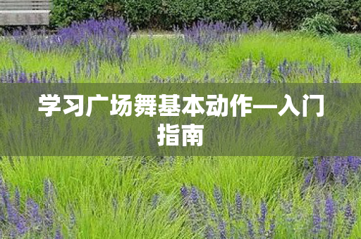 学习广场舞基本动作图片