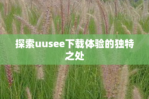 探索uusee下载体验的独特之处图片