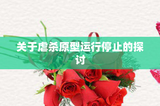 关于虐杀原型运行停止的探讨图片