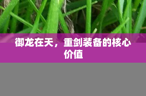 重剑装备的核心价值图片