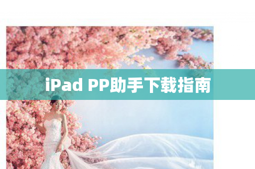 iPad PP助手下载指南图片