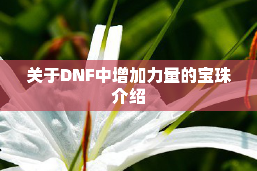 关于DNF中增加力量的宝珠介绍图片