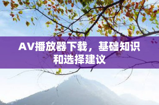 基础知识和选择建议图片