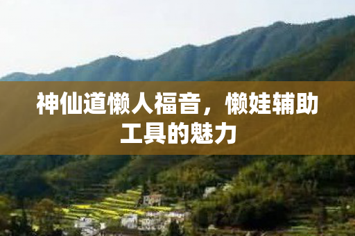 懒娃辅助工具的魅力图片
