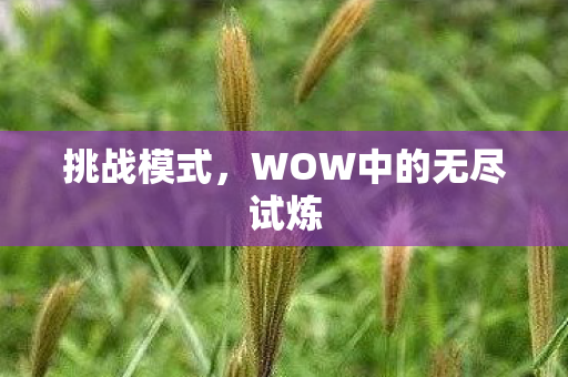 WOW中的无尽试炼图片