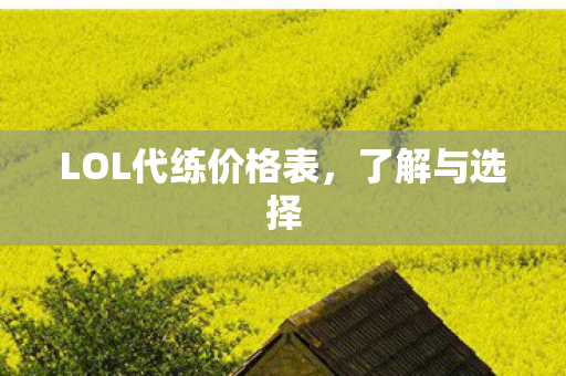 LOL代练价格表图片