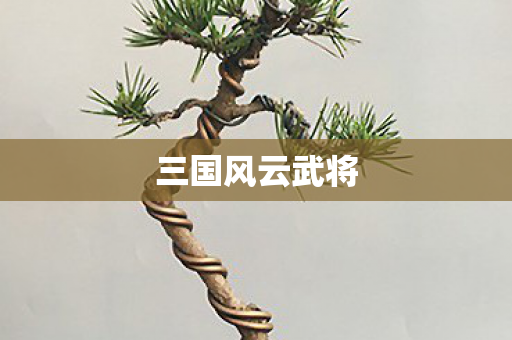 三国风云武将图片