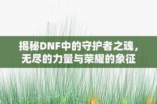 揭秘DNF中的守护者之魂图片