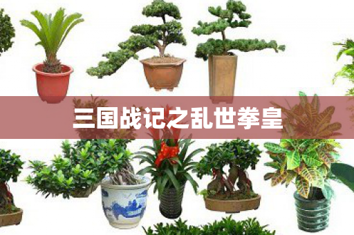 三国战记之乱世拳皇图片