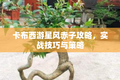 卡布西游星风赤子攻略图片