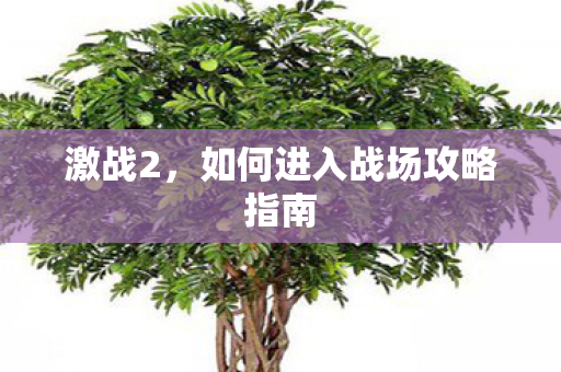 如何进入战场攻略指南图片