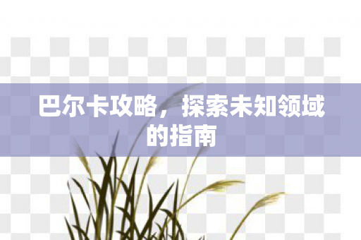 探索未知领域的指南图片
