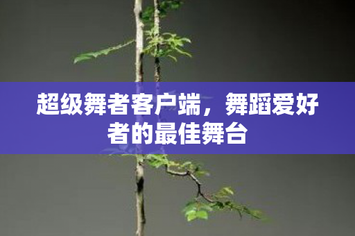 舞蹈爱好者的最佳舞台图片