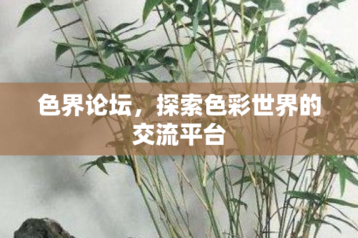 探索色彩世界的交流平台图片