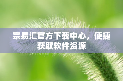 宗易汇官方下载中心图片