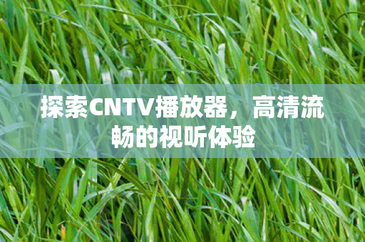 探索CNTV播放器图片