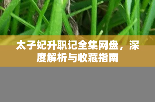 太子妃升职记全集网盘图片
