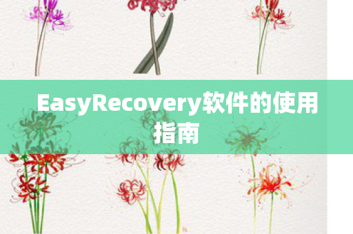 EasyRecovery软件的使用指南图片
