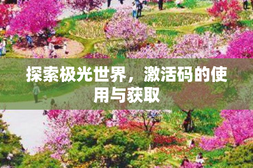 激活码的使用与获取图片