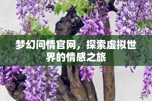 探索虚拟世界的情感之旅图片