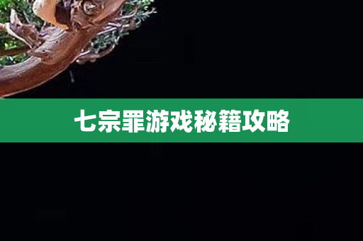 七宗罪游戏秘籍攻略图片