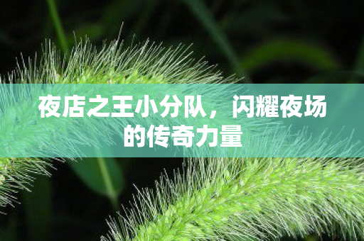 闪耀夜场的传奇力量图片