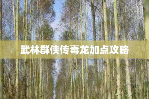 武林群侠传毒龙加点攻略图片