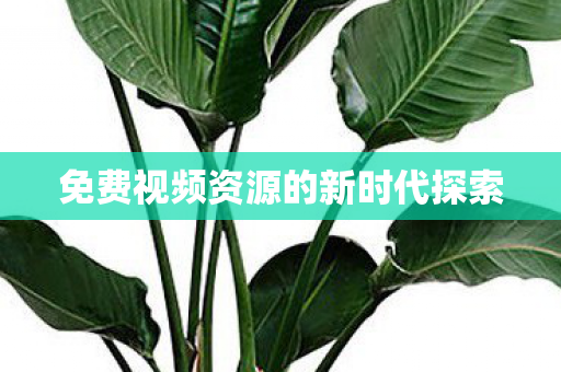 免费视频资源的新时代探索图片