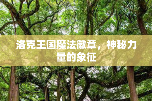 洛克王国魔法徽章图片