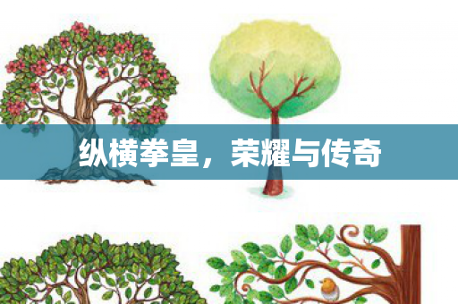 荣耀与传奇图片