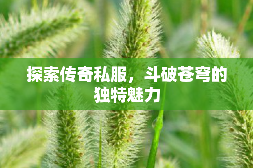 斗破苍穹的独特魅力图片