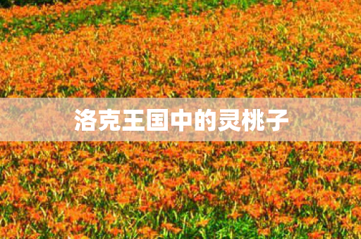 洛克王国中的灵桃子图片
