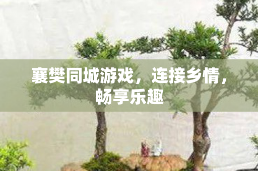 襄樊同城游戏图片