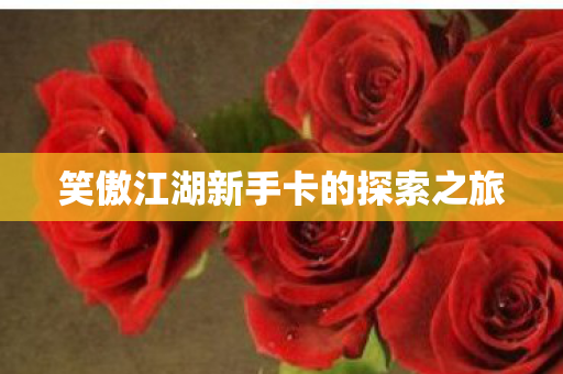 笑傲江湖新手卡的探索之旅图片