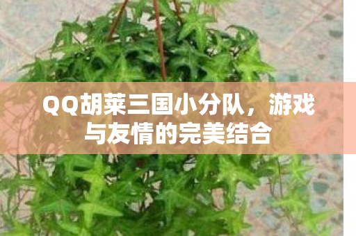 游戏与友情的完美结合图片