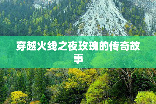 穿越火线之夜玫瑰的传奇故事图片