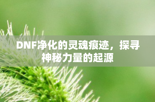 DNF净化的灵魂痕迹图片