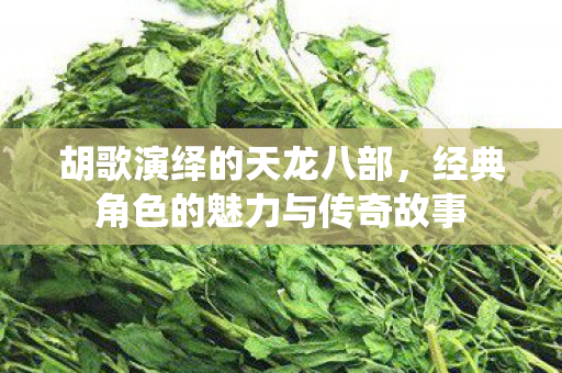 经典角色的魅力与传奇故事图片