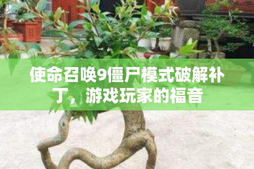 使命召唤9僵尸模式破解补丁图片