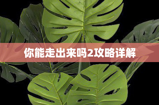 你能走出来吗2攻略详解图片