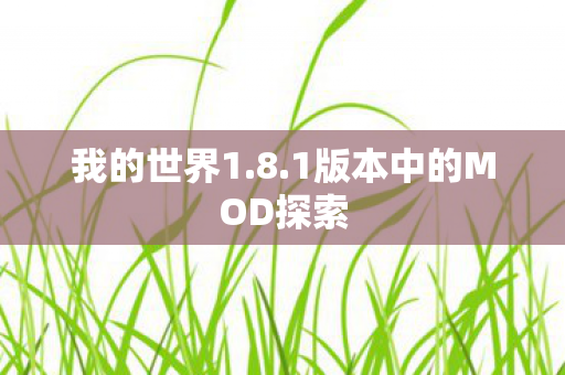 1版本中的MOD探索图片