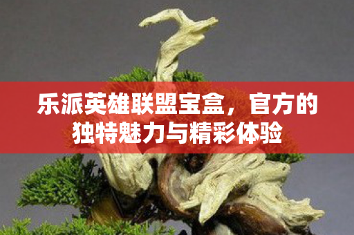 官方的独特魅力与精彩体验图片