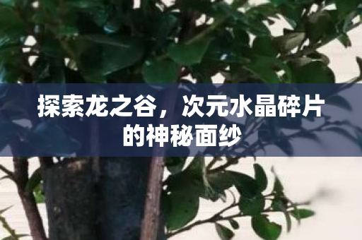 次元水晶碎片的神秘面纱图片