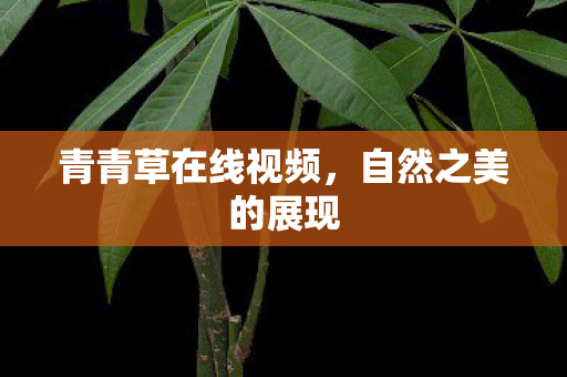 青青草在线视频图片